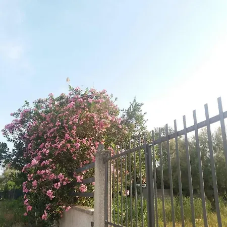 La Casa Di Ezio, Punta Prosciutto
